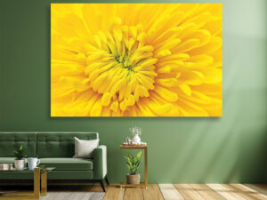 Cvetne slike na platnu