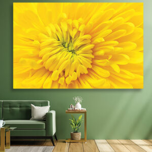 Cvetne slike na platnu