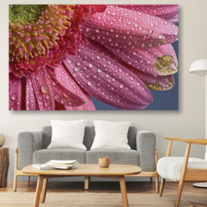 Slika na platnu - roze cvetovi